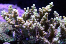 slideshow_7.jpg
