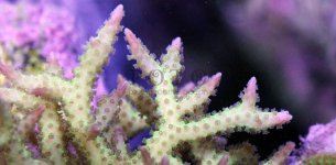 slideshow_5.jpg