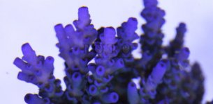 slideshow_4.jpg