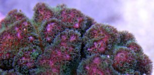 slideshow_2.jpg