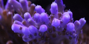 slideshow_1.jpg