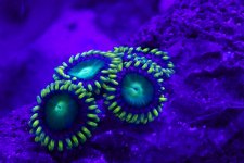 IMG_6381.jpg