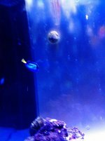 IMG_3778.jpg