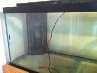 IMG_0654.jpg