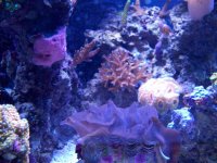 100_0541.jpg