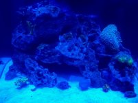 2011-10-15_16-42-55_885.jpg
