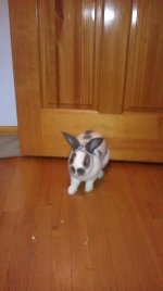 IMAG0210.jpg