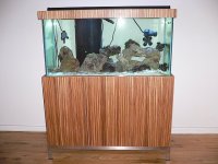 fishtank.jpg