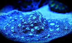 IMG_4488.jpg