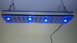 2012-01-29_12-23-15_598.jpg