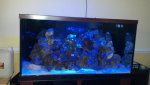 2012-01-29_12-21-24_600.jpg