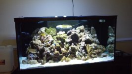 2012-01-29_12-22-20_710.jpg
