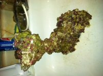 image2.jpeg