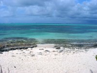 smithsreef036.jpg