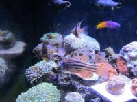 IMG_0686.jpg