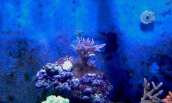 IMAG0551.jpg