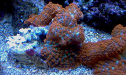 IMAG0463.jpg