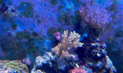 IMAG0564.jpg