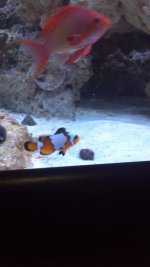 2011-12-05_19-40-00_504.jpg
