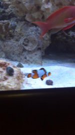 2011-12-05_19-39-57_493.jpg