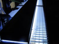 IMG_0052.jpg