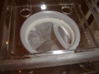 24 x 12 x 16 sump with Quiet One 2200 pump 006.JPG