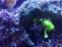IMG_20120327_212032.jpg