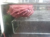 2011-12-06 02.30.35.jpg
