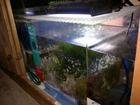 12082011103.jpg