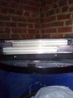 WP_000058.jpg