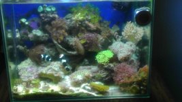 IMAG0662.jpg