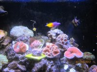 IMG_0800.jpg