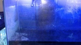 2012-02-03_23-04-13_166.jpg