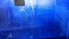 2012-02-03_23-04-22_136.jpg