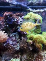 20120215_101847.jpg