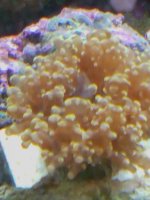 IMG_20120402_213426.jpg