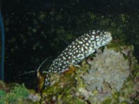 DSC01372.JPG