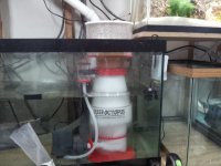 20120204_203246.jpg