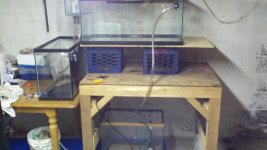 2011-12-10_19-01-26_628.jpg