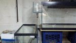 2011-12-10_19-01-56_820.jpg