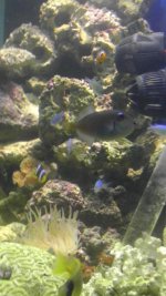 IMAG0763.jpg