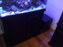 IMG_20111211_101244.jpg