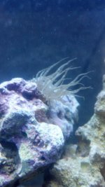 2012-02-07_00-26-41_466.jpg