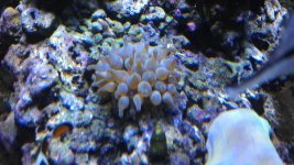 IMAG0368.jpg