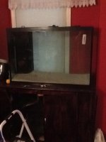 IMG_0079.jpg