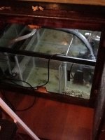 IMG_0083.jpg