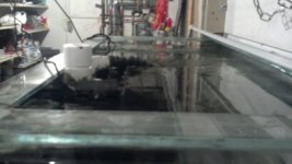ripples.jpg