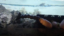 2012-04-04_17-24-48_156.jpg