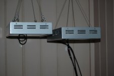 DSC_4601.jpg