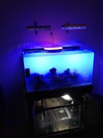 ImageUploadedByReefs1336914692.892460.jpg